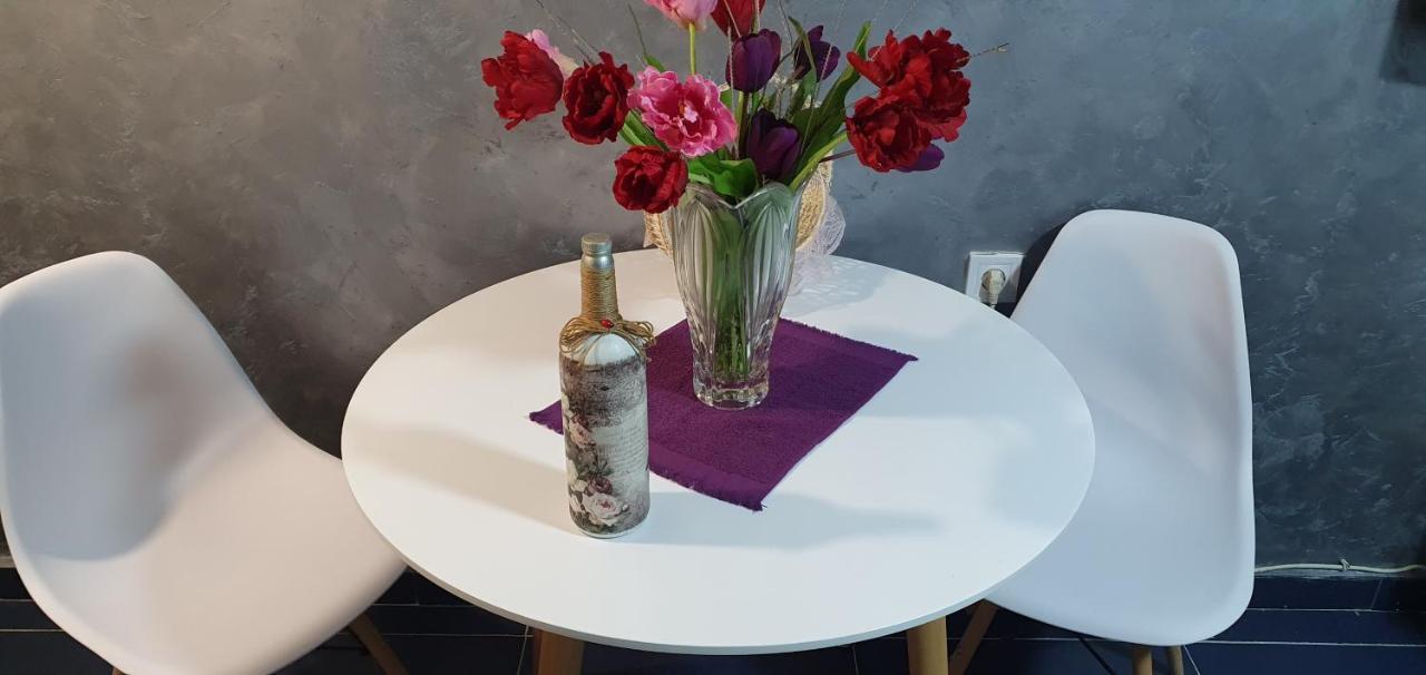 Cozzy Apartment Near The Aiport Podgorica Mitrovici  外观 照片